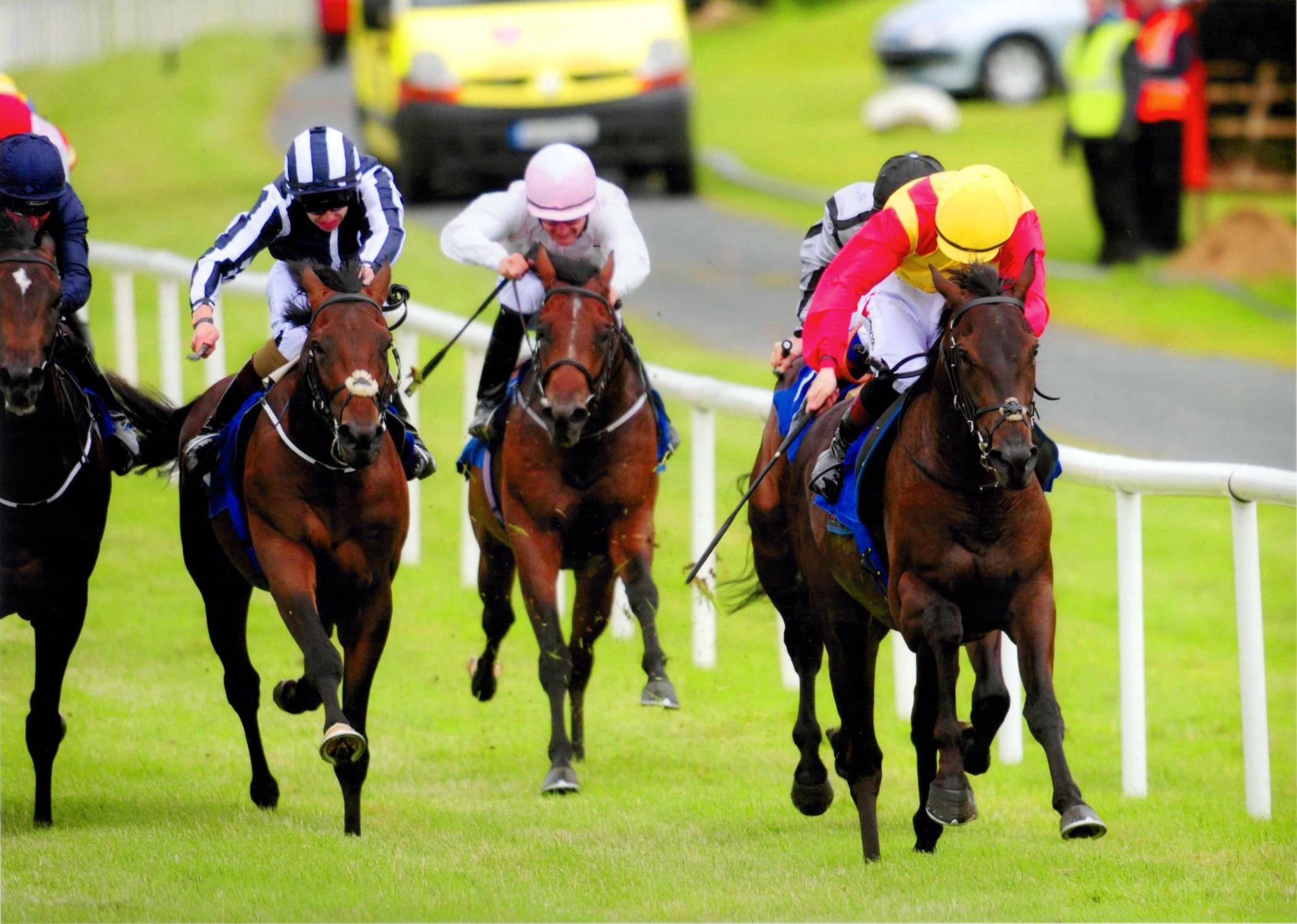 BOYFRIEND BRIAN makes it two from two down south in Killarney 11th July 2016